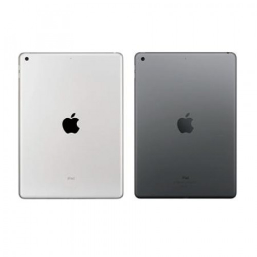 Apple iPad 10,2" (2021) Wi-Fi + Cellular 256 ГБ, Silver (серебристый)