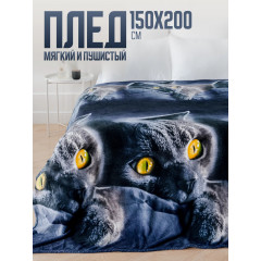 Плед 150х200 Павлина Британец кот синий 1.5 - спальный на диван